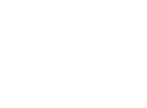 1670049127649.jpg